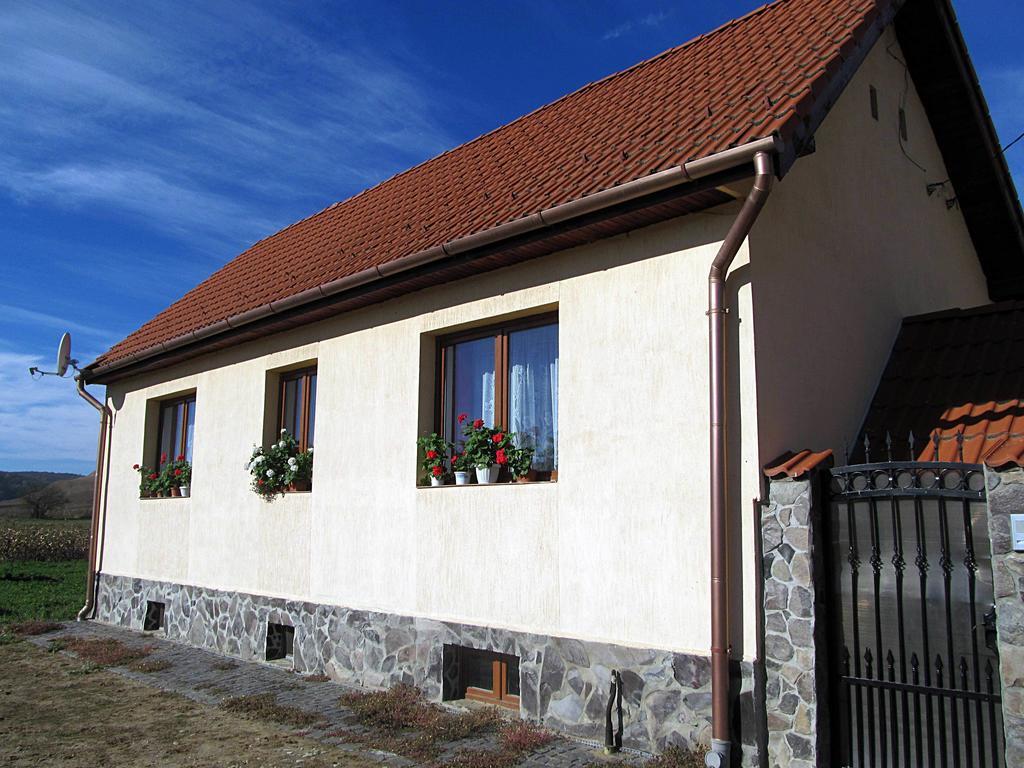 Casa Simion Villa Sibiu Exterior photo